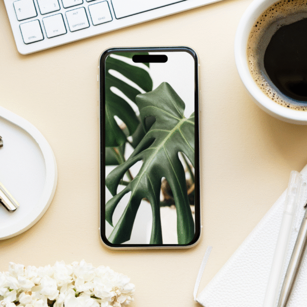 30 days Content for your business